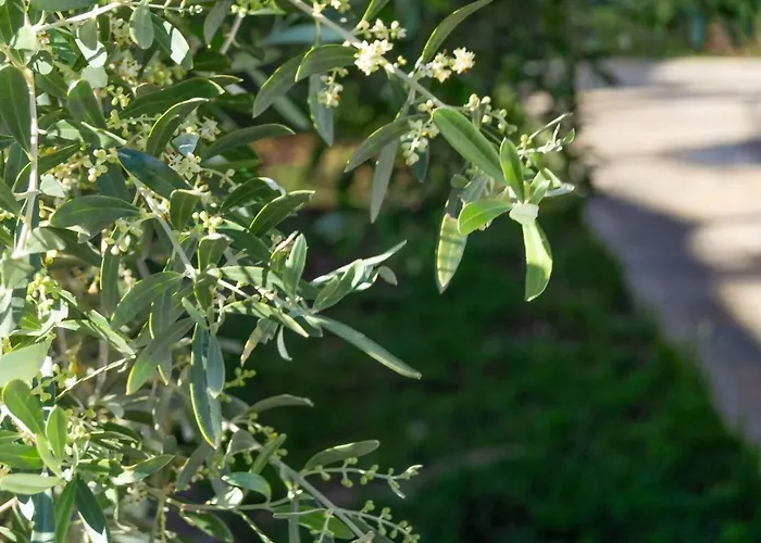 Casa Delicias • Pisc. Privada • Playa • Bbq • 6pax *